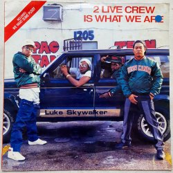 Обкладинка 2 Live Crew - Cuttin' It Up