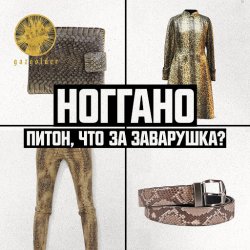 Обкладинка Ноггано - Питон, что за заварушка
