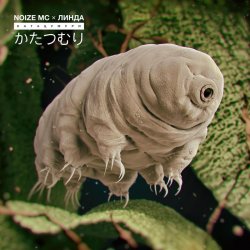 Обкладинка Noize MC - Катацумури