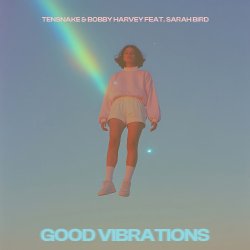 Обкладинка Tensnake & Bobby Harvey & Sarah Bird - Good Vibrations