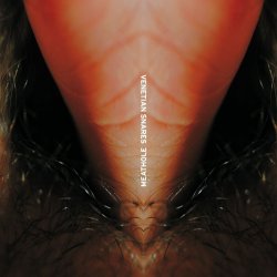 Обкладинка Venetian Snares - Duffy