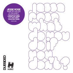 Обкладинка Jesse Rose - Forget my name (feat. Hot Chip)