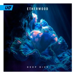 Обкладинка Etherwood - Deep Dive