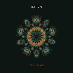 Обкладинка HAEVN & Lily Meola - Till the Morning