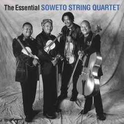 Обкладинка The String Quartet - Paint in black