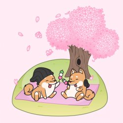 Обкладинка Hyper Potions - Cherry Blossoms