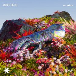 Обкладинка Quiet Bison - Blight