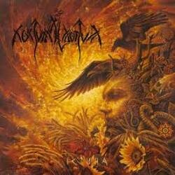Обкладинка Nokturnal Mortum - Sorrow Of Native Lands