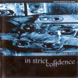 Обкладинка Aghast View - Truthl Truthlike (Found Amplitude Mix By In Strict Confidence)