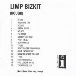 Обкладинка Limp Bizkit - Lesson Learned