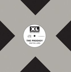 Обкладинка The Prodigy - Everybody In The Place (Original Mix)