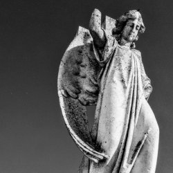 Обкладинка Беловодье - Не догнать