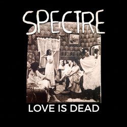 Обкладинка Spectre - Hedgamez
