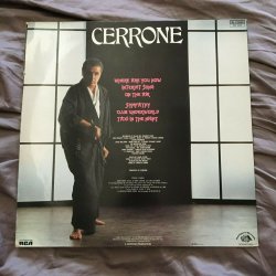 Обкладинка Cerrone - Your Love Survived