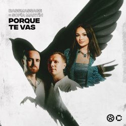 Обкладинка BASSMASSAGE & Sofía Martín - Porque Te Vas