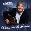 Обкладинка Вячеслав Малежик - Попутчица Вячеслав Малежик - Попутчица