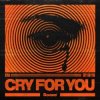 Обкладинка Ilyaa - Cry for You Ilyaa - Cry for You