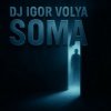 Обкладинка Dj Igor Volya - SOMA Dj Igor Volya - SOMA