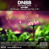 Обкладинка DJ Roots - Sorriso De Flor DJ Roots - Sorriso De Flor