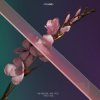 Обкладинка Flume - Never Be Like You (Feat. Kai) Flume - Never Be Like You (Feat. Kai)