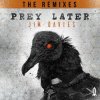 Обкладинка Jim Davies - Prey Later (Dex Remix) Jim Davies - Prey Later (Dex Remix)