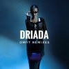 Обкладинка DRIADA - Яд (VELSKY Remix) DRIADA - Яд (VELSKY Remix)