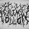 Salem - Hollow