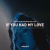 Paul Schulze & FÜNKENSTEIN & LEVII - If You Had My Love
