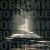 Обкладинка Океан Эльзы - Обійми (Jo unique Remix) Океан Эльзы - Обійми (Jo unique Remix)
