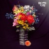 Rocco Vice - Der Mond