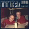 Little Big Sea - Seconds