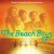 Обкладинка The Beach Boys - Cotton Fields