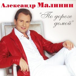 Обкладинка Александр Малинин - Поручик Голицын
