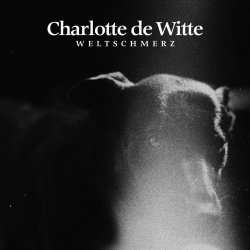 Обкладинка Charlotte De Witte - Damage Control