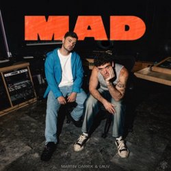 Обкладинка Martin Garrix & Lauv - MAD (Dj Vianu Remix)
