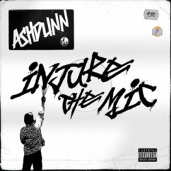 Обкладинка Ashdunn - Injure The Mic