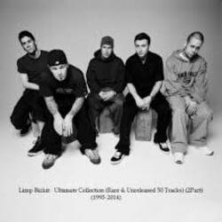 Обкладинка Limp Bizkit - Phat Groove