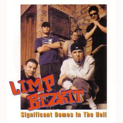 Обкладинка Limp Bizkit - N2 Gether Now Feat. Method Man