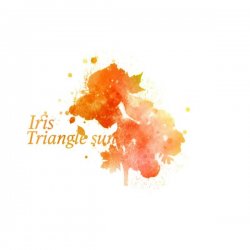 Обкладинка Triangle Sun - You'll Never Give Up