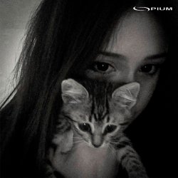 Обкладинка AYSELU feat. Anjee & Lextone - Останови 2.0