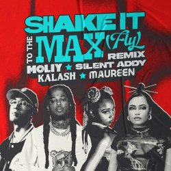 Обкладинка MOLIY & Silent Addy - Shake It To The Max (FLY) [Kalash & Maureen Remix]