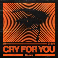 Обкладинка Ilyaa - Cry for You