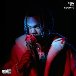 Обкладинка CKay - tey tey
