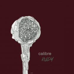 Обкладинка Calibre - Stunted