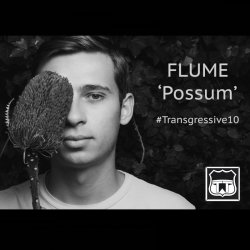Обкладинка Flume - Possum