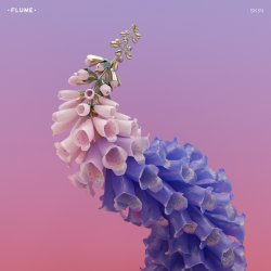 Обкладинка Flume - Skin LP Preview