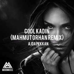 Обкладинка Ajda Pekkan - Cool Kadın (Mahmut Orhan Remix)