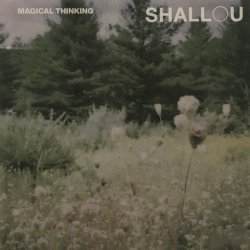Обкладинка Shallou - Forget