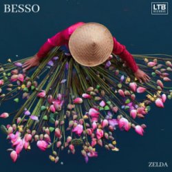 Обкладинка Besso - Zelda