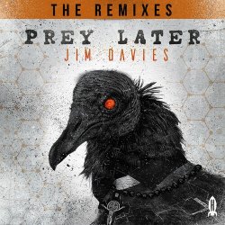 Обкладинка Jim Davies - Prey Later (Dex Remix)